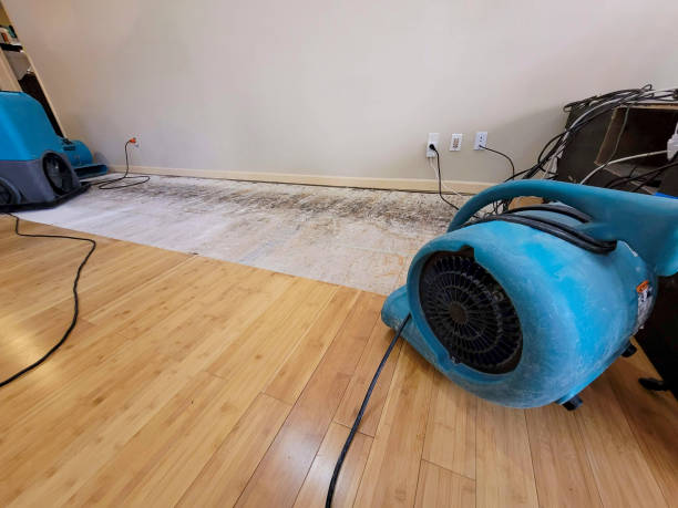 Professional Structural Drying technician working in West Hollywood, CA